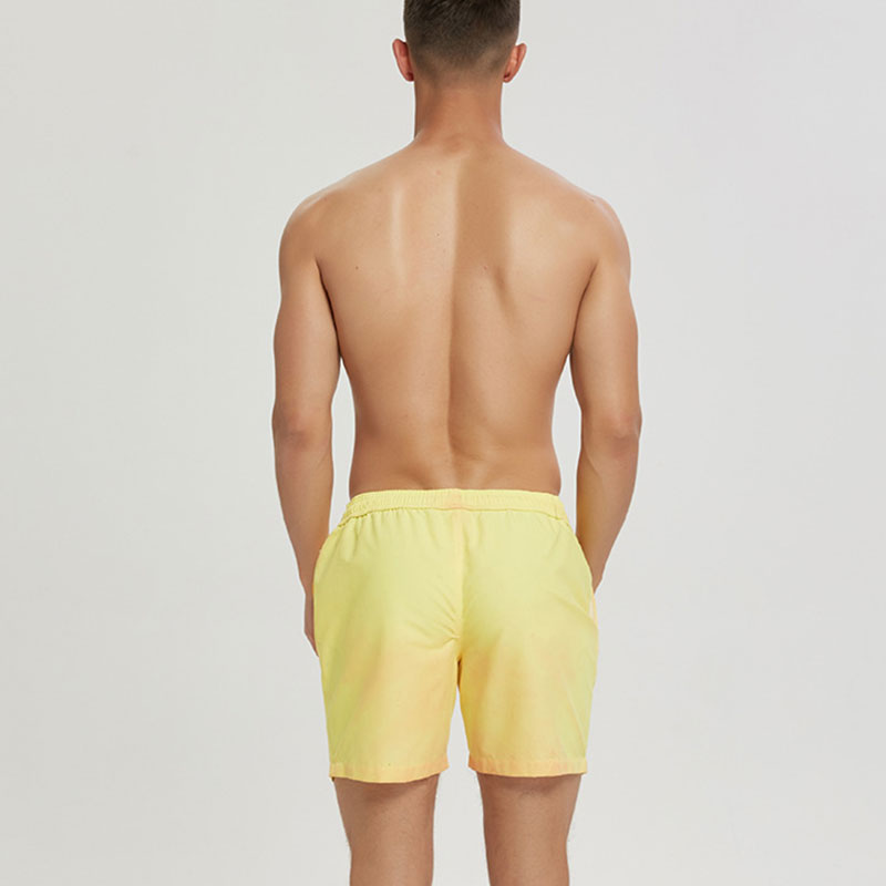 Cameleon Magic Men's Swimshorts